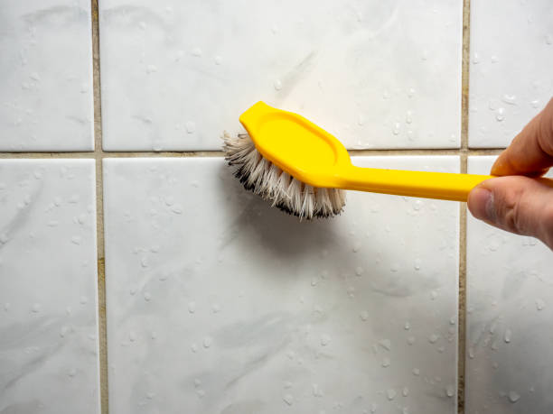 Best Same-Day Mold Removal  in Red Corral, CA