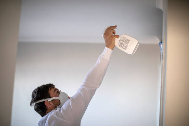 Best Fast Mold Removal  in Red Corral, CA
