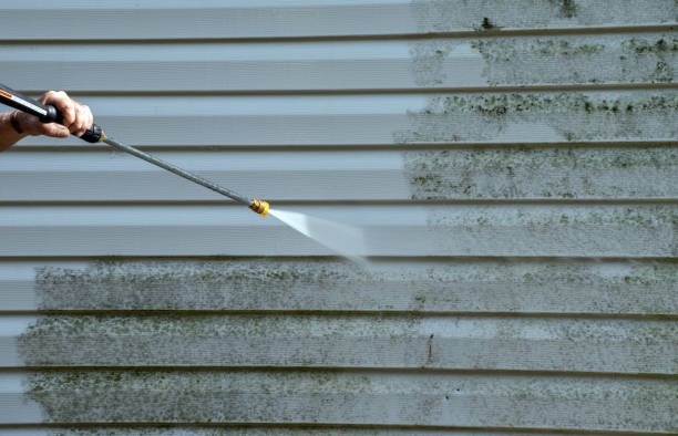 Best Commercial Mold Removal  in Red Corral, CA