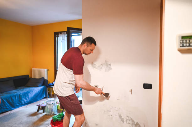 Best Toxic Mold Removal  in Red Corral, CA